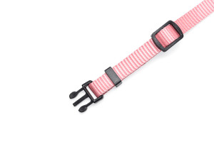 Beeztees Yavru Köpek Boyun Tasması, Çeşitli Renklerde, 17-25cm, 10mm - 17