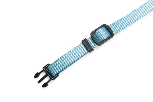 Beeztees Yavru Köpek Boyun Tasması, Çeşitli Renklerde, 17-25cm, 10mm - 20