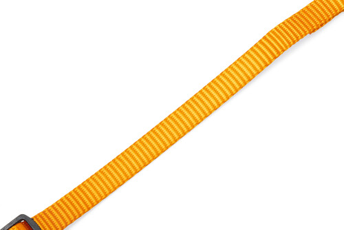 Beeztees Yavru Köpek Boyun Tasması, Çeşitli Renklerde, 17-25cm, 10mm - 23