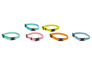 Beeztees Yavru Köpek Boyun Tasması, Çeşitli Renklerde, 17-25cm, 10mm - Beeztees