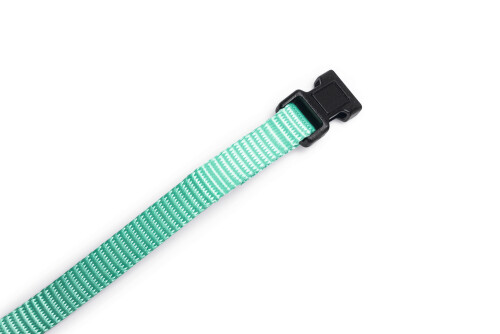 Beeztees Yavru Köpek Boyun Tasması, Çeşitli Renklerde, 17-25cm, 10mm - 8