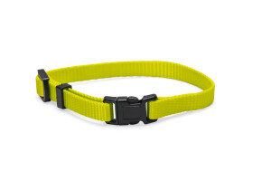 Beeztees Yavru Köpek Boyun Tasması, Çeşitli Renklerde, 17-25cm, 10mm - 11