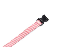 Beeztees Yavru Köpek Boyun Tasması, Çeşitli Renklerde, 17-25cm, 10mm - 16