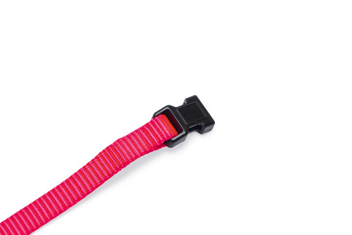 Beeztees Yavru Köpek Boyun Tasması, Çeşitli Renklerde, 22-35cm, 10mm - 3