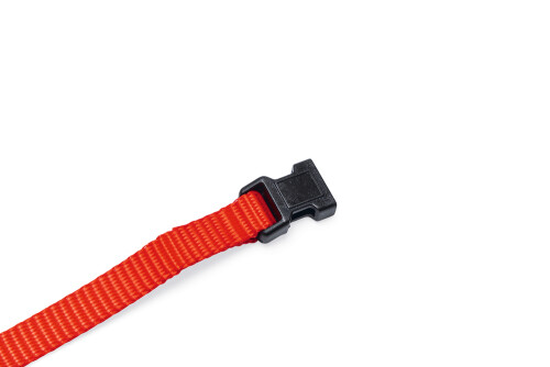 Beeztees Yavru Köpek Boyun Tasması, Çeşitli Renklerde, 22-35cm, 10mm - 9