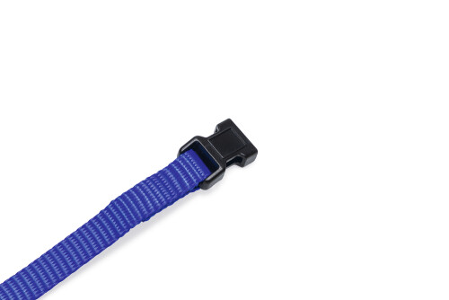 Beeztees Yavru Köpek Boyun Tasması, Çeşitli Renklerde, 22-35cm, 10mm - 7
