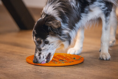 Beeztees Yavru Köpek Mama Yeme Oyuncağı, Daire Şeklinde, Silikon, Turuncu, 30cm - 7