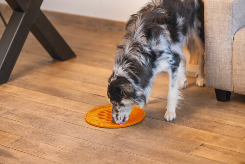 Beeztees Yavru Köpek Mama Yeme Oyuncağı, Daire Şeklinde, Silikon, Turuncu, 30cm - 11