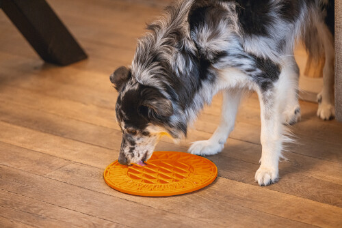 Beeztees Yavru Köpek Mama Yeme Oyuncağı, Daire Şeklinde, Silikon, Turuncu, 30cm - 4