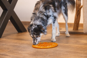 Beeztees Yavru Köpek Mama Yeme Oyuncağı, Daire Şeklinde, Silikon, Turuncu, 30cm - 9