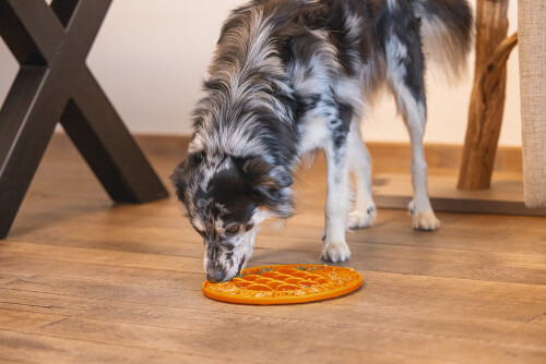 Beeztees Yavru Köpek Mama Yeme Oyuncağı, Daire Şeklinde, Silikon, Turuncu, 30cm - 9