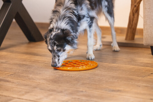 Beeztees Yavru Köpek Mama Yeme Oyuncağı, Daire Şeklinde, Silikon, Turuncu, 30cm - 10