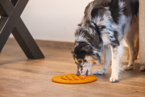 Beeztees Yavru Köpek Mama Yeme Oyuncağı, Daire Şeklinde, Silikon, Turuncu, 30cm - 12