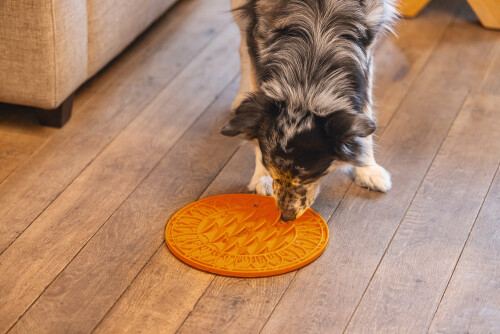 Beeztees Yavru Köpek Mama Yeme Oyuncağı, Daire Şeklinde, Silikon, Turuncu, 30cm - 13