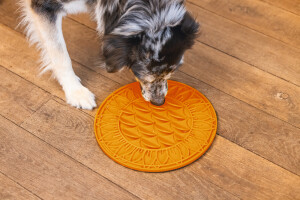 Beeztees Yavru Köpek Mama Yeme Oyuncağı, Daire Şeklinde, Silikon, Turuncu, 30cm - 8