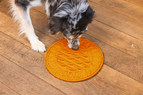 Beeztees Yavru Köpek Mama Yeme Oyuncağı, Daire Şeklinde, Silikon, Turuncu, 30cm - 8