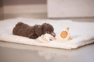 Beeztees Yavru Köpek Oyuncağı, Peluş, Beyaz, 37x28x4cm - 6