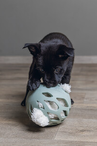 Beeztees Yavru Köpek Oyuncağı, Peluş, Beyaz, 40x22x5cm - 4