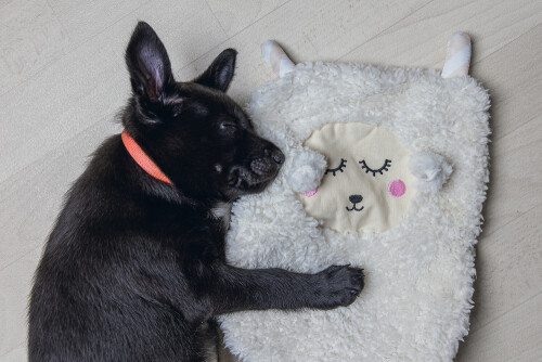 Beeztees Yavru Köpek Oyuncağı, Peluş, Beyaz, 40x22x5cm - 5