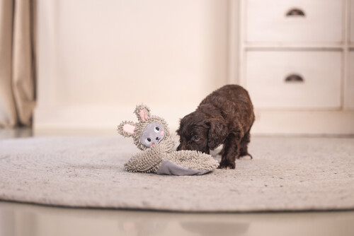 Beeztees Yavru Köpek Oyuncağı, Peluş, Gri, 37x28x4cm - 6