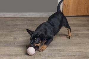 Beeztees Yavru Köpek Oyuncağı, Top, Kauçuk, Pembe, 6cm - 3