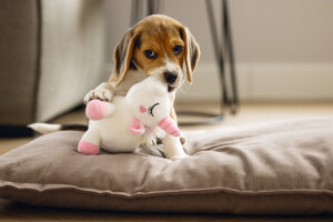 Beeztees Yavru Köpek Oyuncağı, Unicorn, Peluş, Beyaz, 18x15x11,5cm - 2