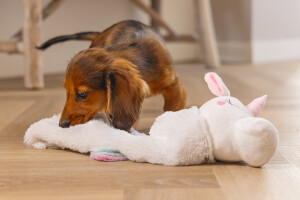 Beeztees Yavru Köpek Oyuncağı, Unicorn, Peluş, Beyaz, 74x14x15cm - 8