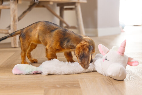 Beeztees Yavru Köpek Oyuncağı, Unicorn, Peluş, Beyaz, 74x14x15cm - 9