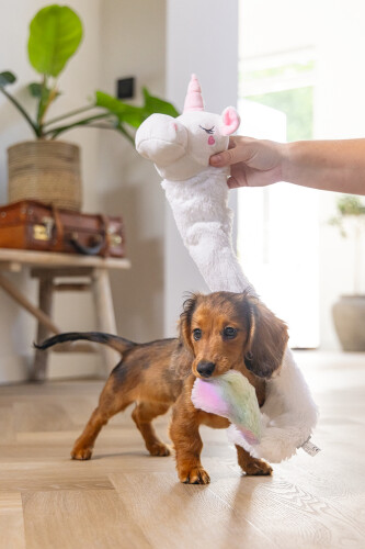 Beeztees Yavru Köpek Oyuncağı, Unicorn, Peluş, Beyaz, 74x14x15cm - 11