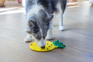 Beeztees Yavru Köpek Yaş Mama Yeme Oyuncağı, Ananas Şeklinde,Silikon, Sarı, 20x20cm - 2