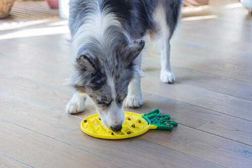 Beeztees Yavru Köpek Yaş Mama Yeme Oyuncağı, Ananas Şeklinde,Silikon, Sarı, 20x20cm - 2