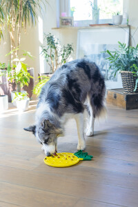 Beeztees Yavru Köpek Yaş Mama Yeme Oyuncağı, Ananas Şeklinde,Silikon, Sarı, 20x20cm - 4