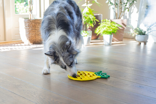 Beeztees Yavru Köpek Yaş Mama Yeme Oyuncağı, Ananas Şeklinde,Silikon, Sarı, 20x20cm - 7