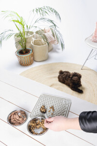 Beeztees Yavru Köpek Yaş Mama Yeme Oyuncağı, Kare, Silikon, Gri, 20x20cm - 4