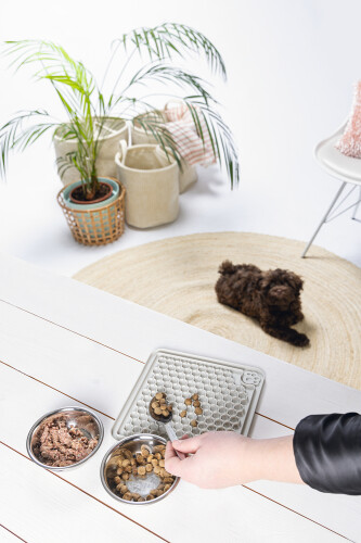 Beeztees Yavru Köpek Yaş Mama Yeme Oyuncağı, Kare, Silikon, Gri, 20x20cm - 4