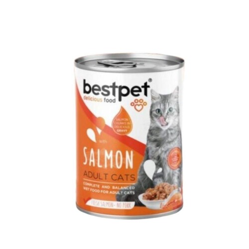Bestpet Somonlu Yetişkin Kedi Konservesi 400 gr - 1