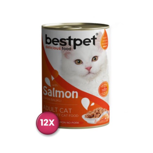 Bestpet Somonlu Yetişkin Kedi Konservesi 400 gr x 12 Adet - 1