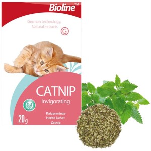 Bioline Catnip Doğal Kedi Nanesi 20 gr - Bioline