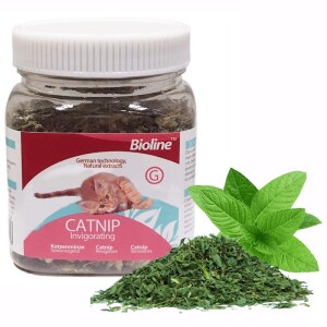 Bioline Catnip Doğal Kedi Otu 20 gr - Bioline