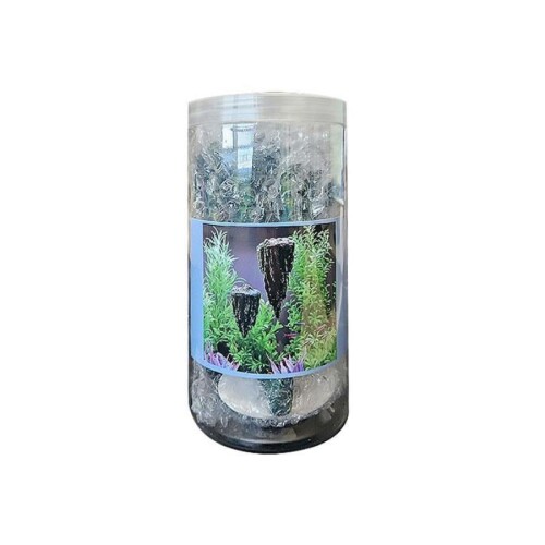 Chicos Avatar Kaya Yüzen Dekor M Boy 11 x 7 x 6 Cm - 1