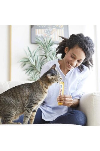 Ciao Churu Cream Tavuklu ve Deniz Taraklı Krema Sıvı Kedi Ödülü 4 X 14 gr - 2