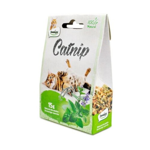 Dentalight Doğal Kedi Nanesi 15 Gr - 1