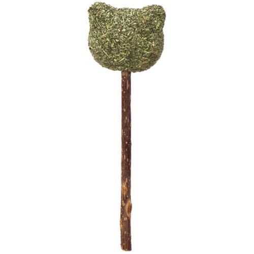 Eastland Matatabi Kedi Diş Temizleyici ve Catnip Ayıcık Kedi Oyuncağı - 1