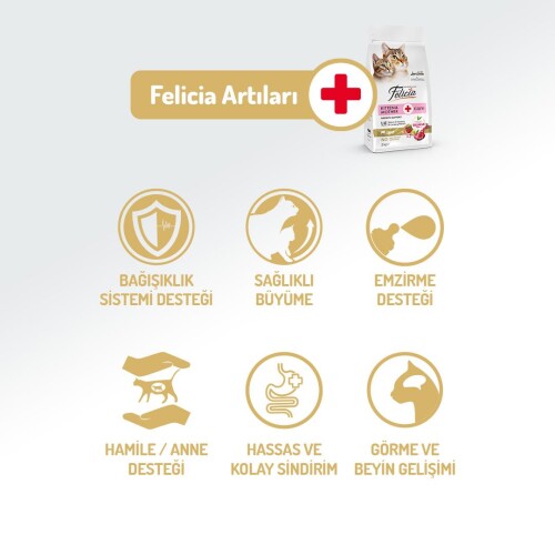 Felicia Kuzu Etli Düşük Tahıllı Yavru ve Hamile Kedi Maması 2 kg - 3