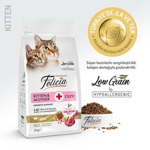 Felicia Kuzu Etli Düşük Tahıllı Yavru ve Hamile Kedi Maması 2 kg - 2