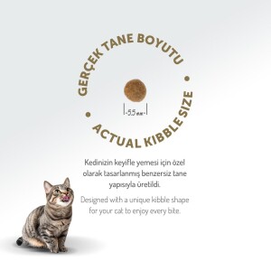 Felicia Kuzu Etli Düşük Tahıllı Yavru ve Hamile Kedi Maması 2 kg - 8