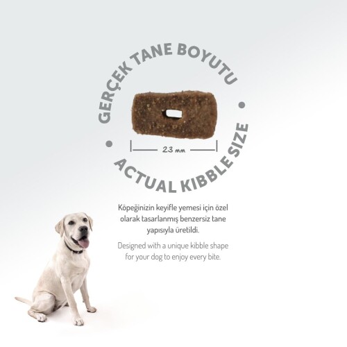 Felicia Kuzulu Pirinçli Düşük Tahıllı Hipoalerjenik Köpek Maması 15 kg - 8