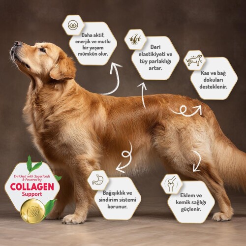 Felicia Kuzulu Pirinçli Düşük Tahıllı Hipoalerjenik Köpek Maması 15 kg - 7