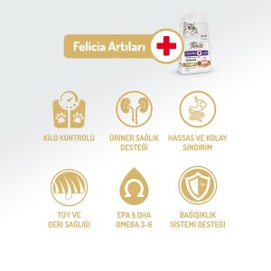 Felicia Light Somonlu Düşük Tahıllı Kısırlaştırılmış Kedi Maması 2 kg - 3