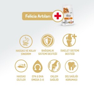 Felicia Mini Somonlu Düşük Tahıllı Hipoalerjenik Köpek Maması 3 kg - 2